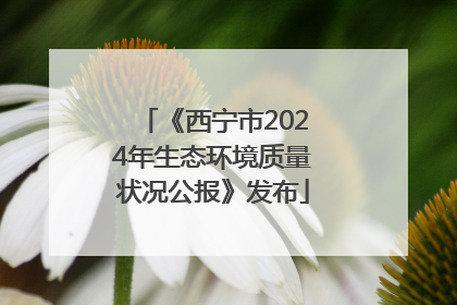 《西宁市2024年生态环境质量状况公报》发布