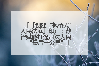 「创建“枫桥式”人民法庭」印江：数智赋能打通司法为民“最后一公里”