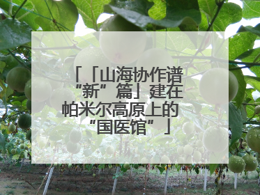 「山海协作谱“新”篇」建在帕米尔高原上的“国医馆”