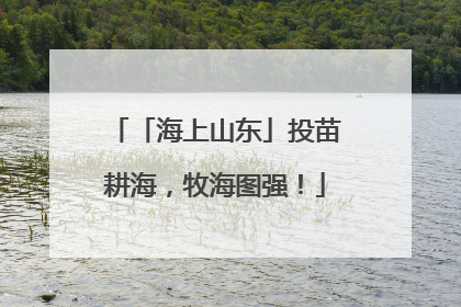 「海上山东」投苗耕海，牧海图强！