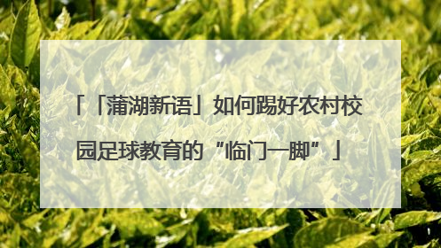 「蒲湖新语」如何踢好农村校园足球教育的“临门一脚”