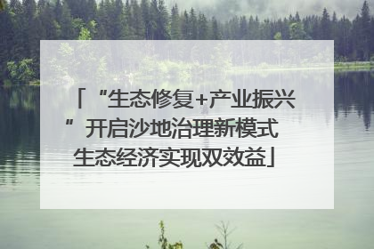 “生态修复+产业振兴”开启沙地治理新模式 生态经济实现双效益