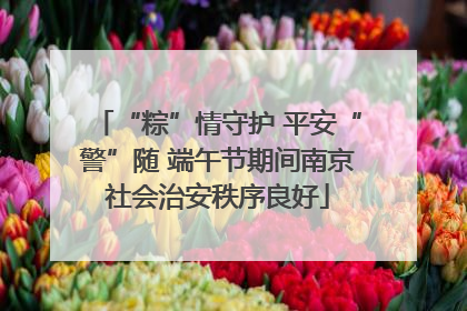 “粽”情守护 平安“警”随 端午节期间南京社会治安秩序良好