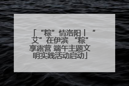 “粽”情洛阳丨“艾”在伊滨 “粽”享露营 端午主题文明实践活动启动