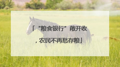 “粮食银行”敞开收，农民不再愁存粮