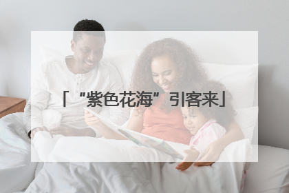 “紫色花海”引客来