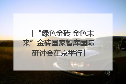 “绿色金砖 金色未来”金砖国家智库国际研讨会在京举行