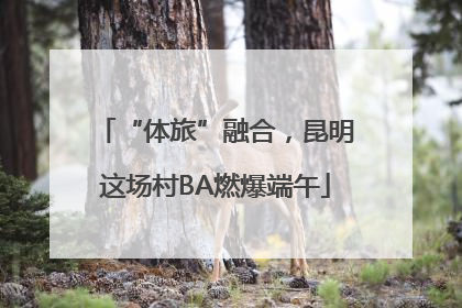 “体旅”融合，昆明这场村BA燃爆端午