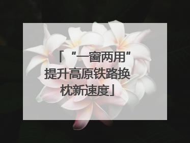 “一窗两用”提升高原铁路换枕新速度