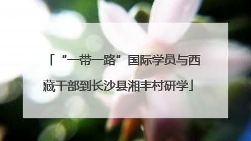 “一带一路”国际学员与西藏干部到长沙县湘丰村研学