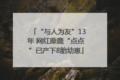 “与人为友”13年 网红麋鹿“点点”已产下8胎幼崽