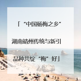 “中国杨梅之乡”湖南靖州传统与新引品种共绽“梅”好