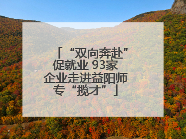 “双向奔赴”促就业 93家企业走进益阳师专“揽才”