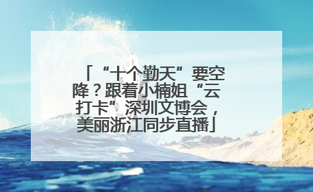 “十个勤天”要空降？跟着小楠姐“云打卡”深圳文博会，美丽浙江同步直播