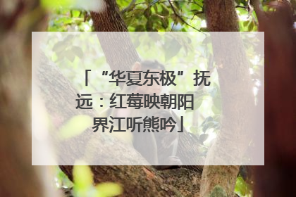 “华夏东极”抚远：红莓映朝阳 界江听熊吟