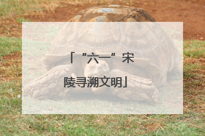 “六一”宋陵寻溯文明
