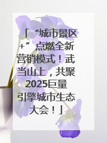 “城市景区+”点燃全新营销模式！武当山上，共聚2025巨量引擎城市生态大会！