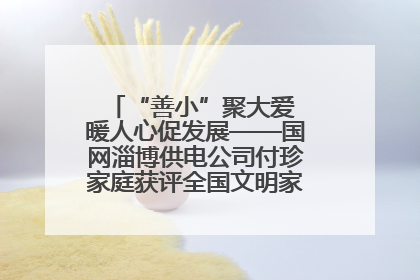 “善小”聚大爱 暖人心促发展——国网淄博供电公司付珍家庭获评全国文明家庭背后的文明密码