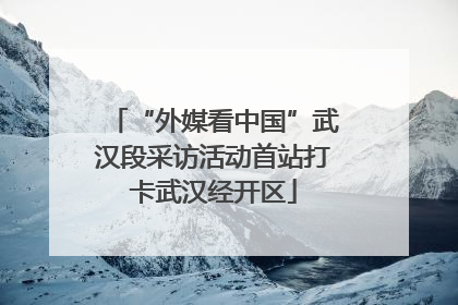 “外媒看中国”武汉段采访活动首站打卡武汉经开区