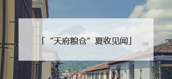 “天府粮仓”夏收见闻