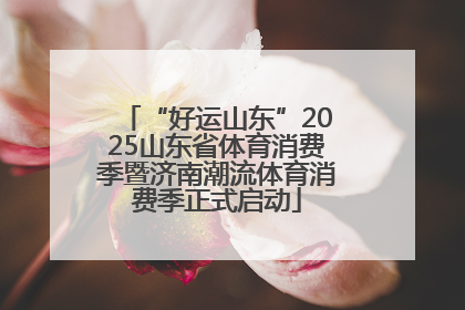 “好运山东”2025山东省体育消费季暨济南潮流体育消费季正式启动