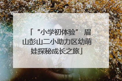 “小学初体验” 眉山彭山二小助力区幼萌娃探秘成长之旅