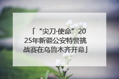 “尖刀·使命”2025年新疆公安特警挑战赛在乌鲁木齐开幕
