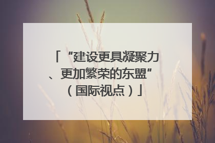 “建设更具凝聚力、更加繁荣的东盟”（国际视点）