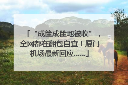 “成筐成筐地被收”，全网都在翻包自查！厦门机场最新回应……