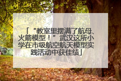 “教室里摆满了航母、火箭模型！”武汉这所小学在市级航空航天模型实践活动中获佳绩