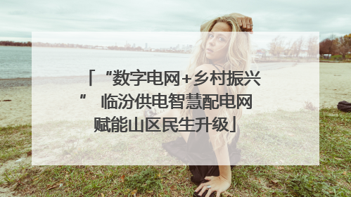 “数字电网+乡村振兴” 临汾供电智慧配电网赋能山区民生升级