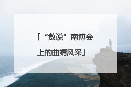 “数说”南博会上的曲靖风采