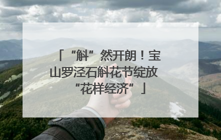 “斛”然开朗！宝山罗泾石斛花节绽放“花样经济”