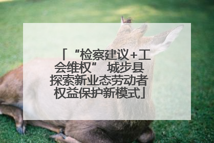 “检察建议+工会维权” 城步县探索新业态劳动者权益保护新模式
