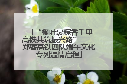 “槲叶裹粽香千里 高铁共筑振兴路”——郑客高铁四队端午文化专列温情启程