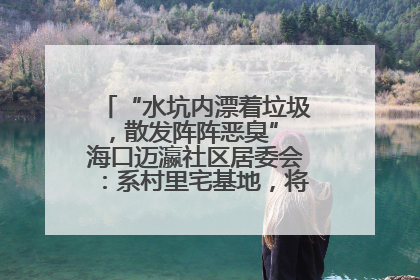 “水坑内漂着垃圾，散发阵阵恶臭” 海口迈瀛社区居委会：系村里宅基地，将派人打捞垃圾