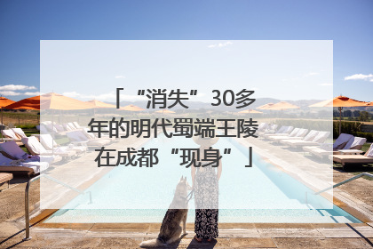 “消失”30多年的明代蜀端王陵在成都“现身”