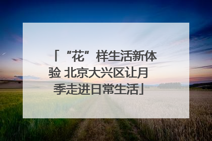 “花”样生活新体验 北京大兴区让月季走进日常生活