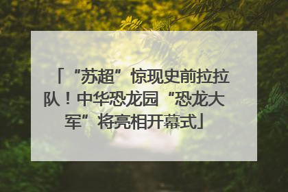 “苏超”惊现史前拉拉队！中华恐龙园“恐龙大军”将亮相开幕式