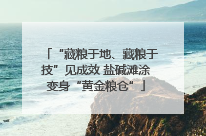 “藏粮于地、藏粮于技”见成效 盐碱滩涂变身“黄金粮仓”