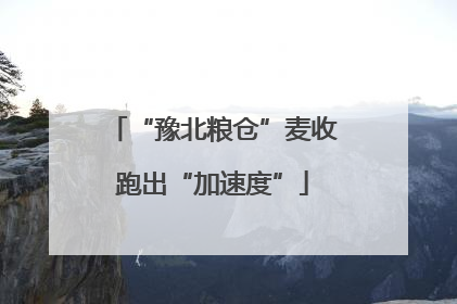 “豫北粮仓”麦收跑出“加速度”