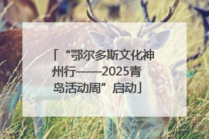“鄂尔多斯文化神州行——2025青岛活动周”启动