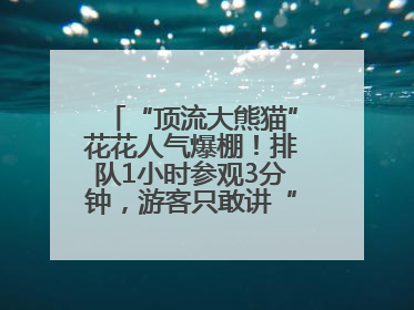 “顶流大熊猫”花花人气爆棚！排队1小时参观3分钟，游客只敢讲“悄悄话”