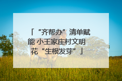 “齐帮办”清单赋能 小王家庄村文明花“生根发芽”