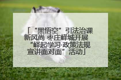 “黑悟空”引法治课新风尚 枣庄峄城开展“峄起学习·政策法规宣讲面对面”活动