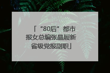 “80后”都市报女总编张晶履新省级党报副职