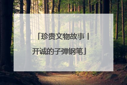 珍贵文物故事丨开诚的子弹钢笔