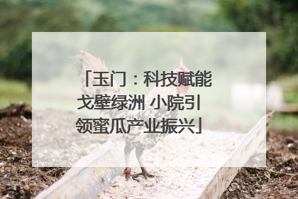 玉门：科技赋能戈壁绿洲 小院引领蜜瓜产业振兴