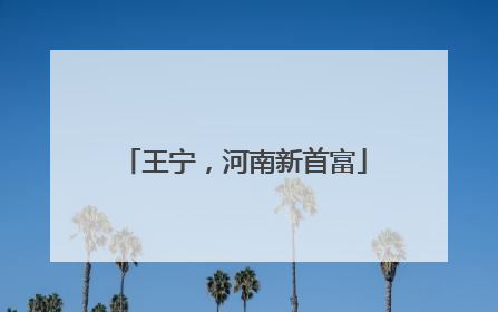 王宁，河南新首富