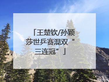 王楚钦/孙颖莎世乒赛混双“三连冠”